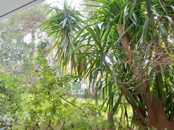 Vouliagmeni'S Secret Garden Near The Sea Apartment Athens Exterior photo